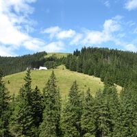 Zum Lärchkogel