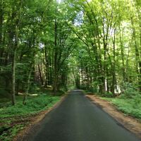Schattiger Weg von Kapfenstein nach Bad Gleichenberg