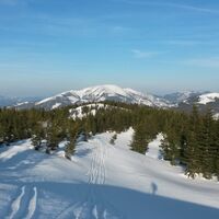 Blick Richtung Wildalpe