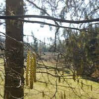 Wanderung rund um Burglemnitz