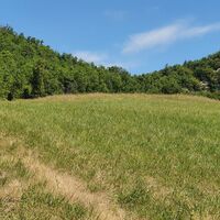 6.5 km Wiese mit Felsen