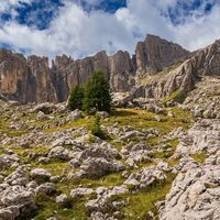 Wir wandern unterhalb des Hirzelsteig