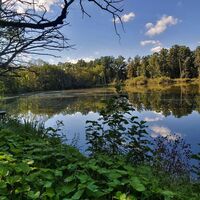 Teich bei Schielleiten_ApfelLand- Stubenbergsee_Oststeiermark