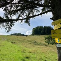 Losenstein-Hohe Dirn Trail