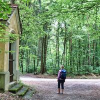 Der Weg führt durch den Wald