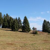 Naturschutzgebiet Rüttewies-Scheibenrain