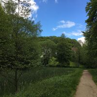 Grünzug an der P.A.B. Gesamtschule