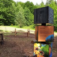 Walderlebnisplatz am Hubertusbrunnen