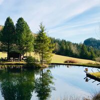 Forellenwirt Fischteich
