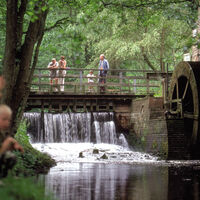 Wandern auf dem Mühlenweg am Wiehengebirge