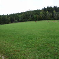 Aufstieg zum Holzkogel