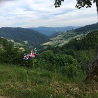 Blick Richtung Alpen