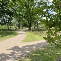 Behringer-Hügelgräberheide-Gabelung-ccbysa-foto©bispingen-touristik-min.jpeg