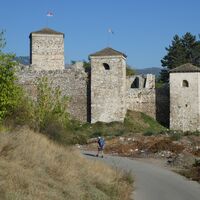 Grünkohl Pirot