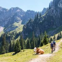 Bergtour auf den Aggenstein