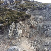 Beginn felsiger Untergrund