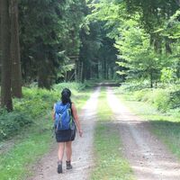 Wanderstrecke durch den Wald