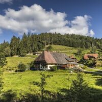 Schwarzwaldhof in St Georgen