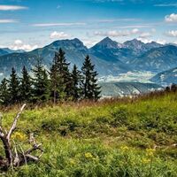 Ausblick auf die Haller Mauern