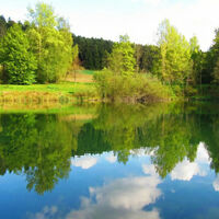 Tumlinger See frühling