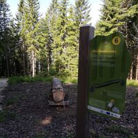 Station - Baumtelefon