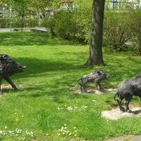 Wildschweine_HD_16zu9.JPG