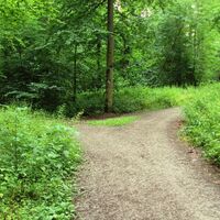 Salzgitter Höhenzug, Weggabelung Wanderwege 25 und 26