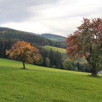Blick hinaus nach Vorau, Hartbergerland in der Oststeiermark