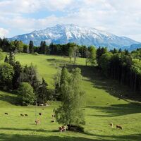 Alm am Hochbärneck