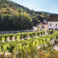Kartause Aggsbach mit Garten