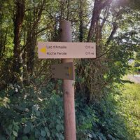 Mountainbike-Strecke 5: Lac d'Armaille