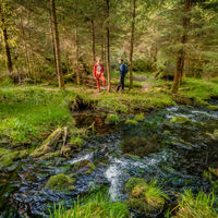 Entlang des Kaltenbachs