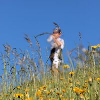 Natur pur