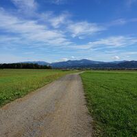 Rückweg