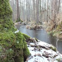 Winterimpression