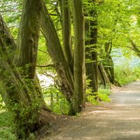 Wanderweg Wurmtal