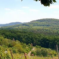 Weitblick