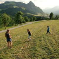 Kinder im Feld am Pinzgerhof