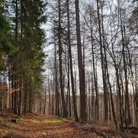 Qualitätstour Lunauborn (Schö 1)