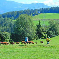 Trofaiach - Leoben
