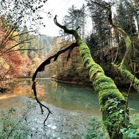 Raabklamm im Herbst_Naturpark Almenland_Oststeiermark