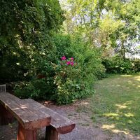 Rohrbacher Grillhütte Picknickplatz