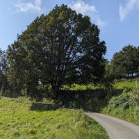 Wandern rund um Bad Fredeburg