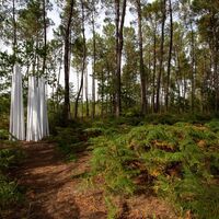 Wald der zeitgenössischen Kunst