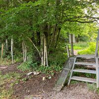 Losenstein-Hohe Dirn Trail