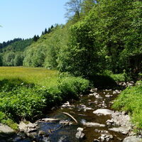 Rengsetal