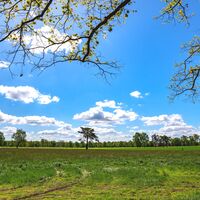 Landschaftsidylle im Süden des Landkreises Rotenburg (Wümme)