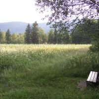 Ruhebank im Inzeller Moor am Rande der Kalorienpromenade