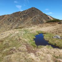 Steinwandkogel