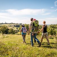 Familienwanderung in den Weinbergen